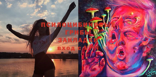 бошки Балахна