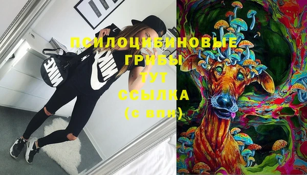 а пвп мука Белокуриха