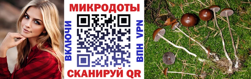 Галлюциногенные грибы MAGIC MUSHROOMS  Купить закладки  Каспийск 